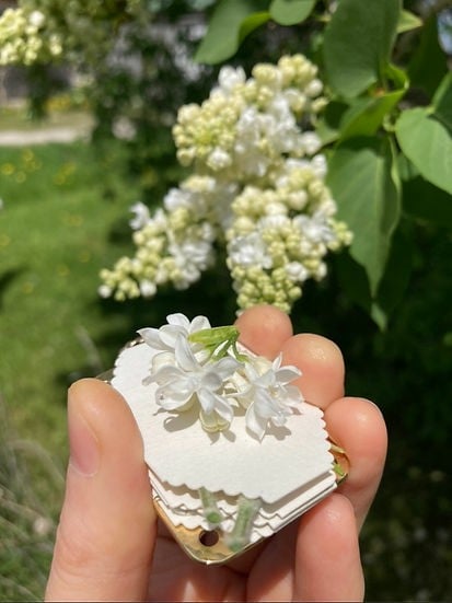 π2025 Micro Flower Press
