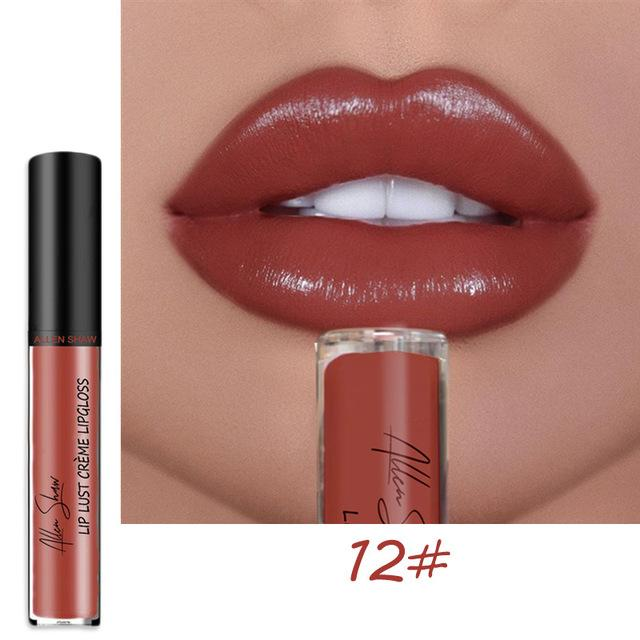 aakip™-12 COLOR WATERPROOF LONG LASTING MOIST LIP GLOSS PLUMPER LIQUID LIPSTICK