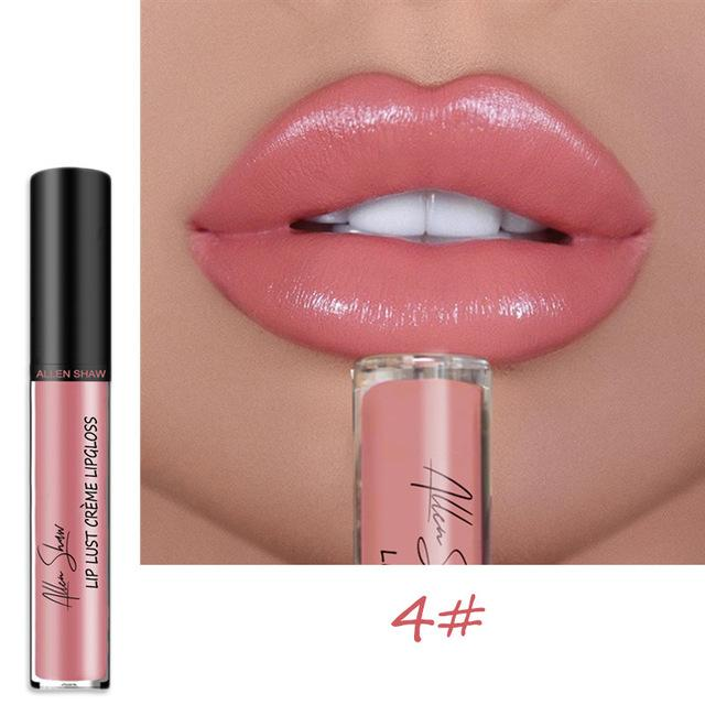 aakip™-12 COLOR WATERPROOF LONG LASTING MOIST LIP GLOSS PLUMPER LIQUID LIPSTICK