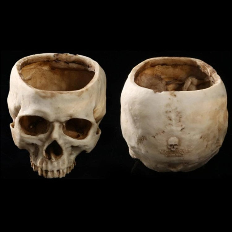 aakip™-🎃HALLOWEEN SALE 49% OFF🎃HUMAN SKULL BOWL
