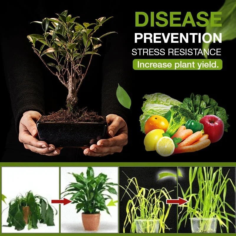 aakip™-Soil Activated Treasure-You Will Be Amazed🌿