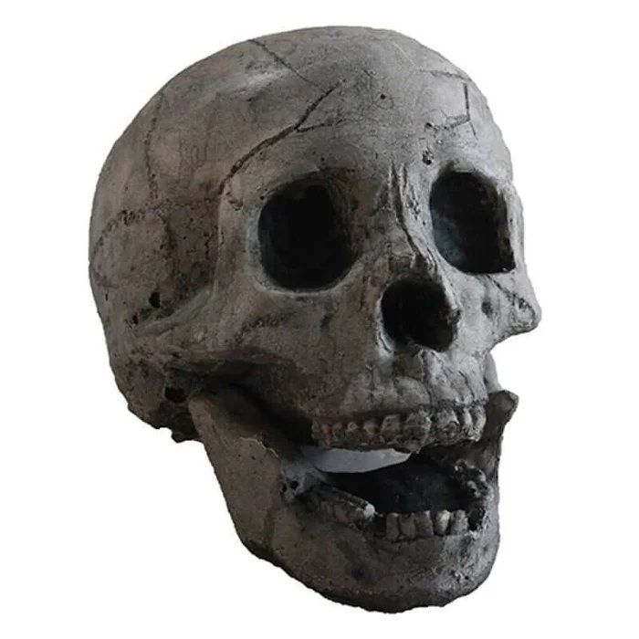 aakip™-💀Halloween Sale - Terrifying Human Skull Fire Pit