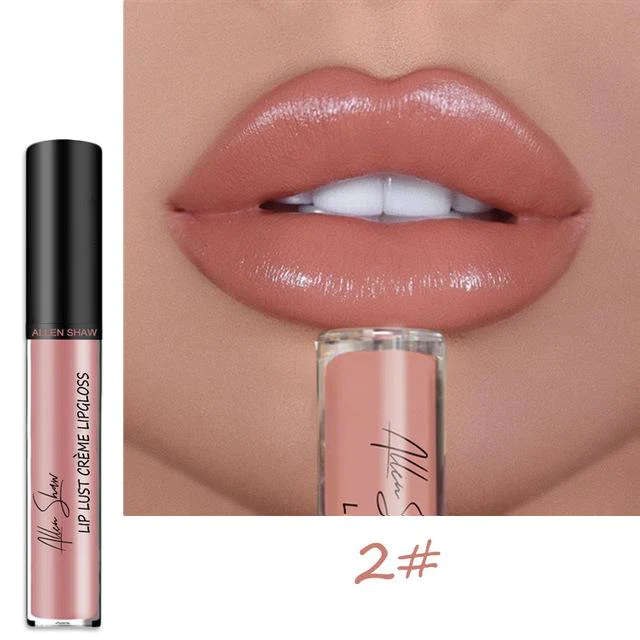 aakip™-12 COLOR WATERPROOF LONG LASTING MOIST LIP GLOSS PLUMPER LIQUID LIPSTICK
