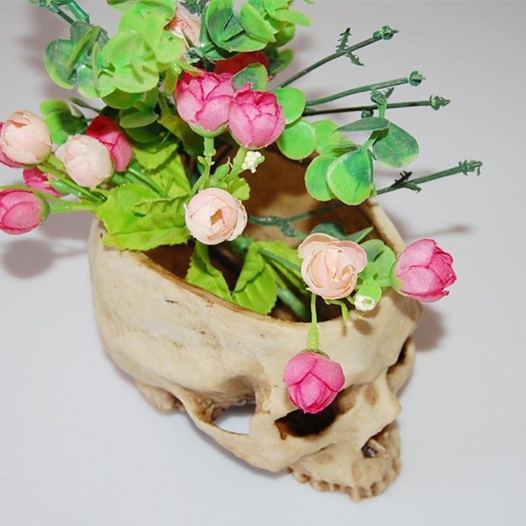 aakip™-🎃HALLOWEEN SALE 49% OFF🎃HUMAN SKULL BOWL