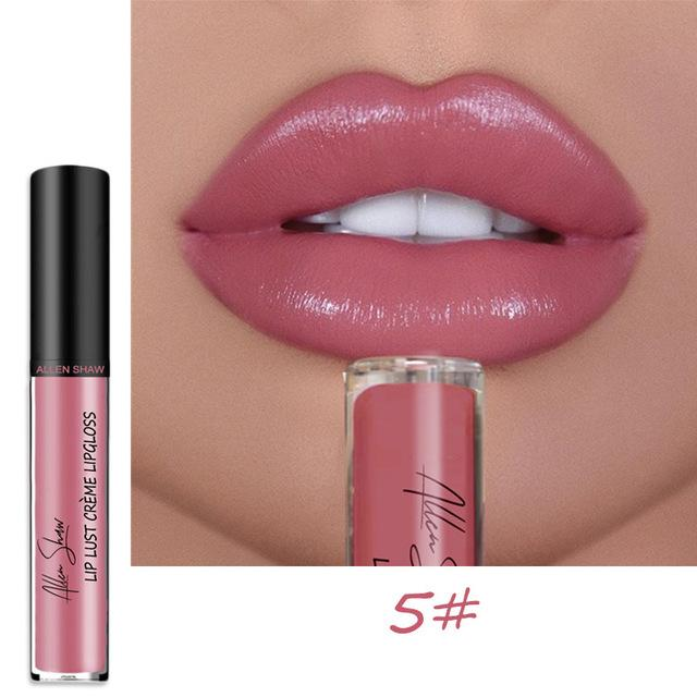 aakip™-12 COLOR WATERPROOF LONG LASTING MOIST LIP GLOSS PLUMPER LIQUID LIPSTICK
