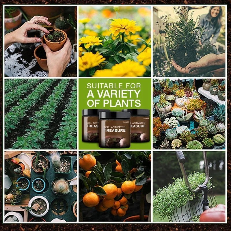 aakip™-Soil Activated Treasure-You Will Be Amazed🌿