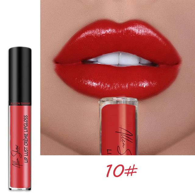 aakip™-12 COLOR WATERPROOF LONG LASTING MOIST LIP GLOSS PLUMPER LIQUID LIPSTICK