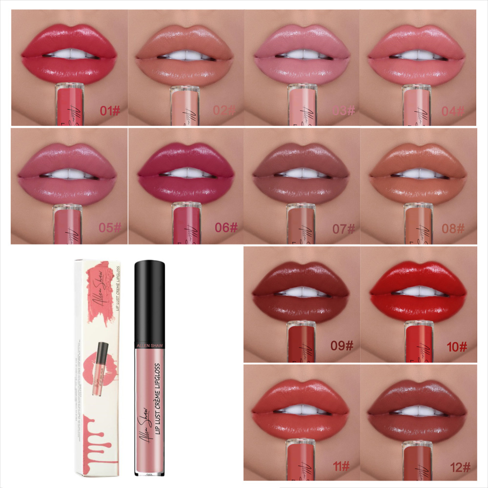 aakip™-12 COLOR WATERPROOF LONG LASTING MOIST LIP GLOSS PLUMPER LIQUID LIPSTICK