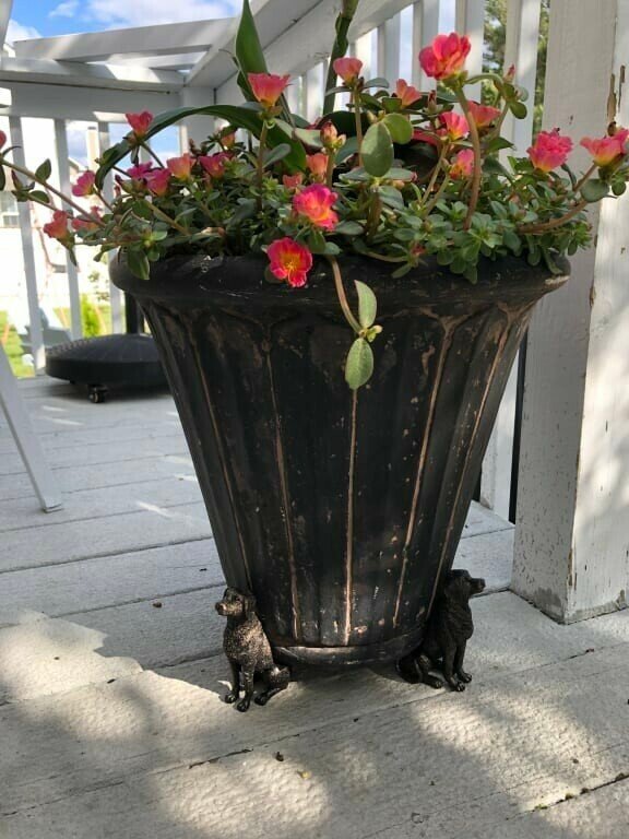aakip™-Potty Feet Plant Pot Feet