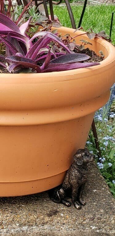 aakip™-Potty Feet Plant Pot Feet