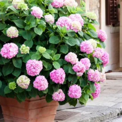 aakip™- 70% OFF-Outdoor Artificial Hydrangea Flowers💐