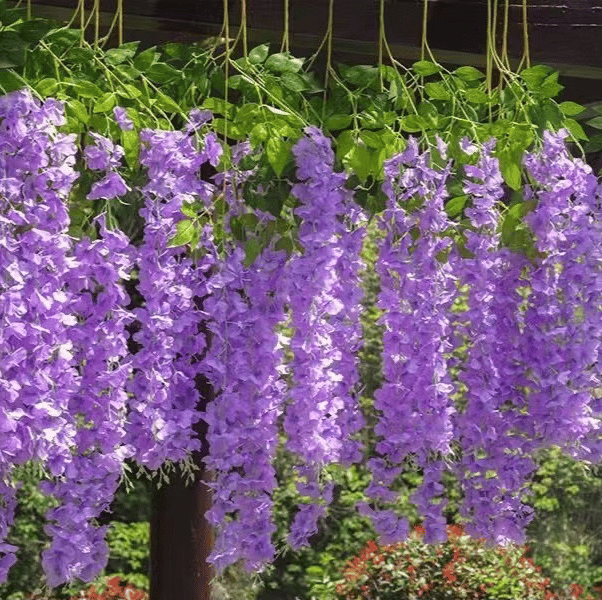 aakip™-✨This Week's Special Sale 49% Off - UV Simulation Artificial Wisteria