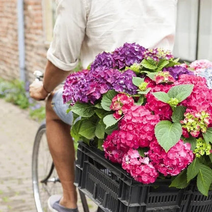 aakip™- 70% OFF-Outdoor Artificial Hydrangea Flowers💐