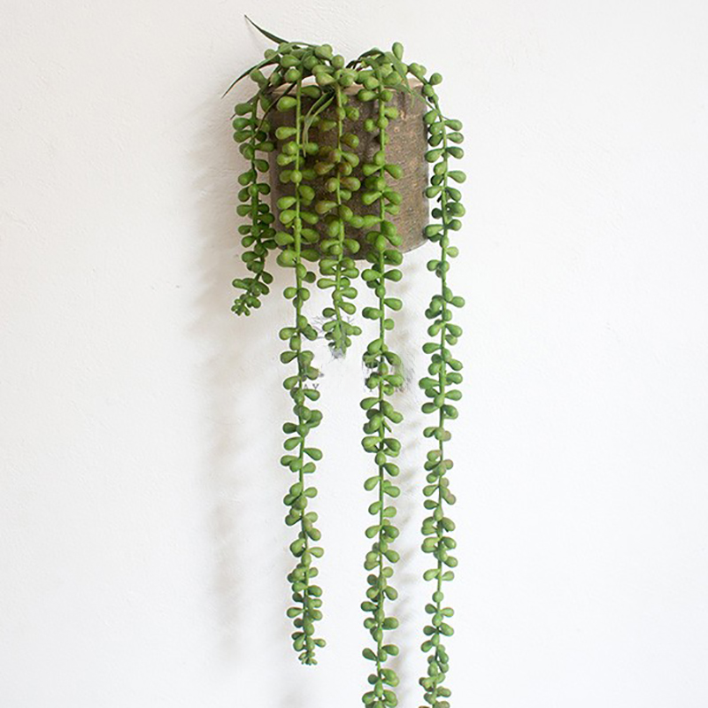 aakip™-French Moss Wall Hanging Plant Decoration