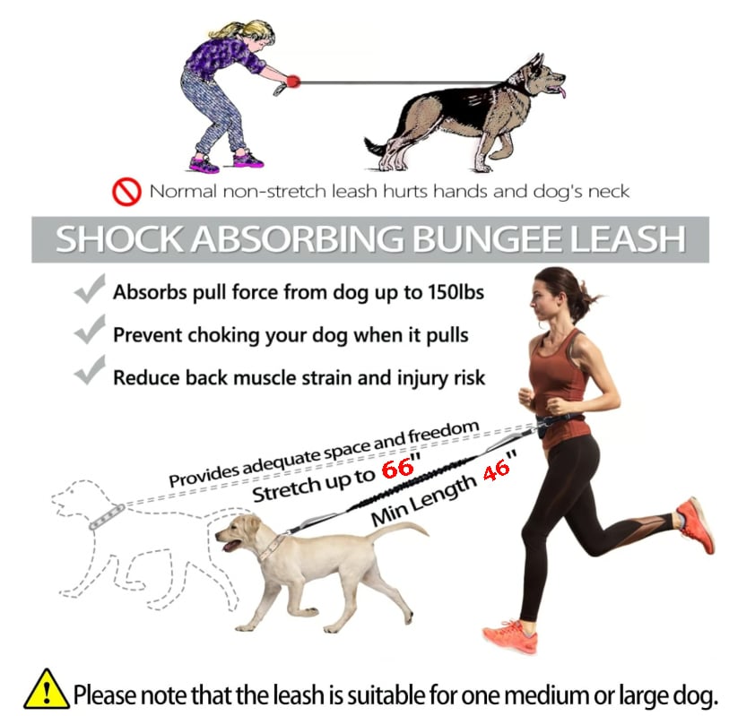 Image showcasing 🔥Hands Free Dog Leash with Zipper Pouch – aakip.com
