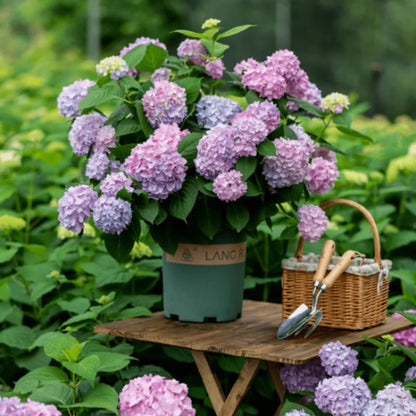 aakip™- 70% OFF-Outdoor Artificial Hydrangea Flowers💐