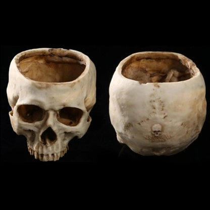 aakip™-🎃HALLOWEEN SALE 49% OFF🎃HUMAN SKULL BOWL
