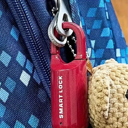 aakip™-🔒Smart Fingerprint Padlock (Model SY11 and Model M01)