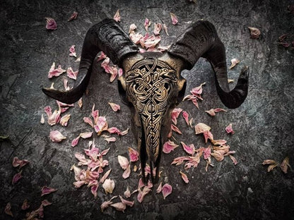 aakip™-Carved Ram Skull