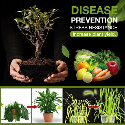 aakip™-Soil Activated Treasure-You Will Be Amazed🌿
