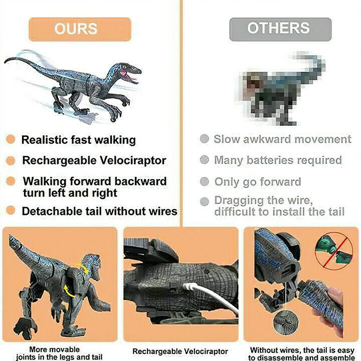 Remote Control Dinosaur Toys