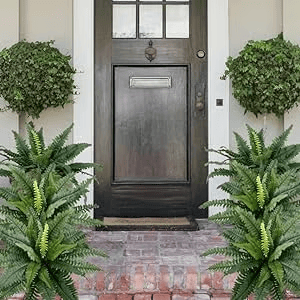 UV Resistant Lifelike Artificial Boston Fern