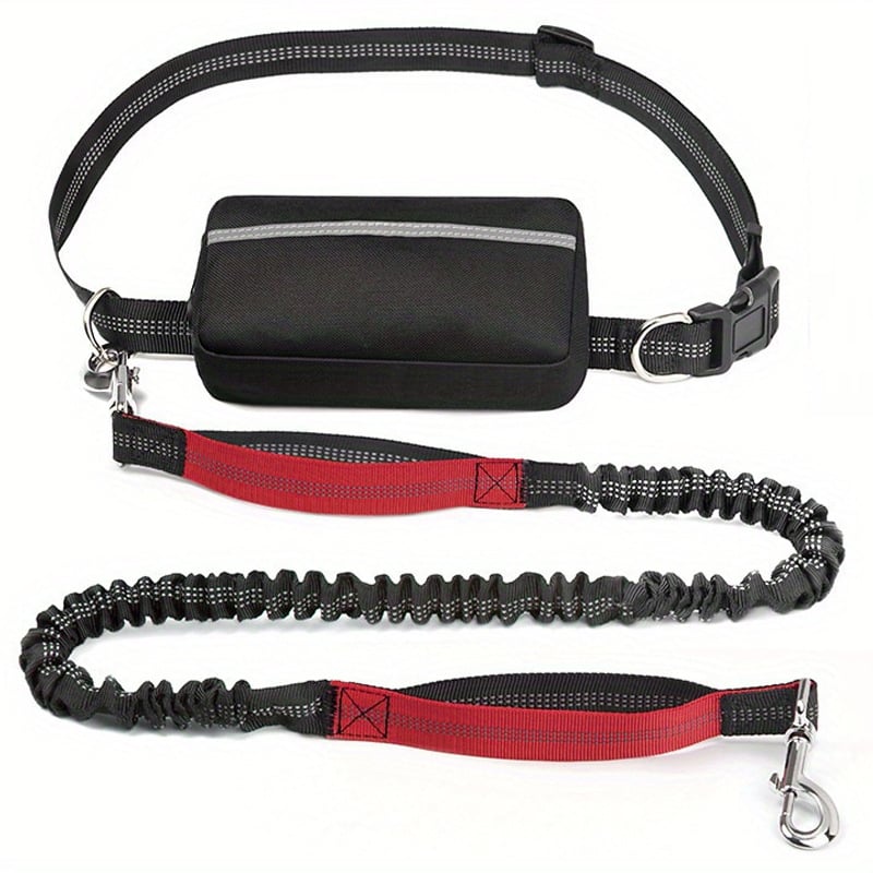 🔥Hands Free Dog Leash with Zipper Pouch – aakip.com - Zip-In Hand Elastic Leash