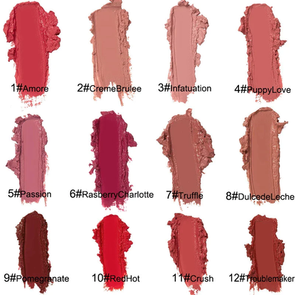 aakip™-12 COLOR WATERPROOF LONG LASTING MOIST LIP GLOSS PLUMPER LIQUID LIPSTICK