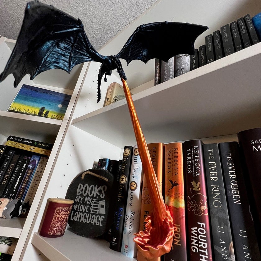 ✨Dragon Flame Book Nook