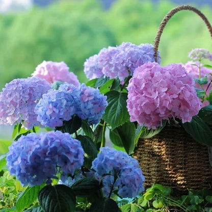 aakip™- 70% OFF-Outdoor Artificial Hydrangea Flowers💐