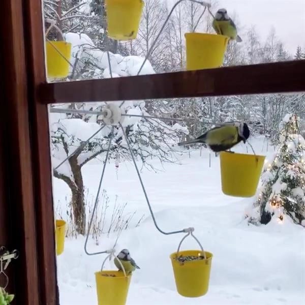 aakip™-Ferris Wheel Bird Feeder 🐦