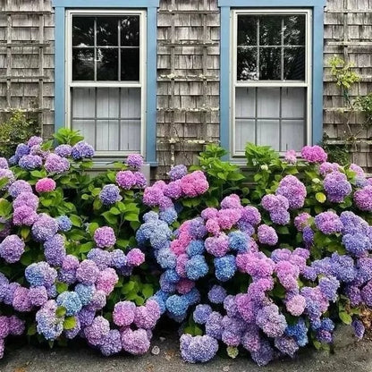 aakip™- 70% OFF-Outdoor Artificial Hydrangea Flowers💐