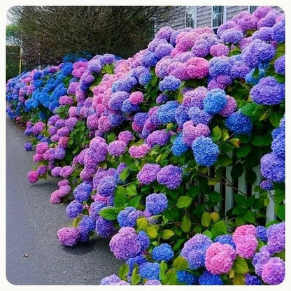 aakip™- 70% OFF-Outdoor Artificial Hydrangea Flowers💐